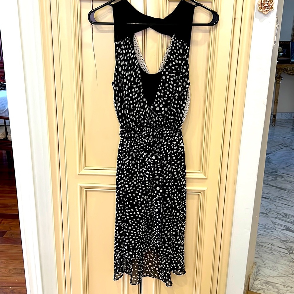 Express polka dot dress